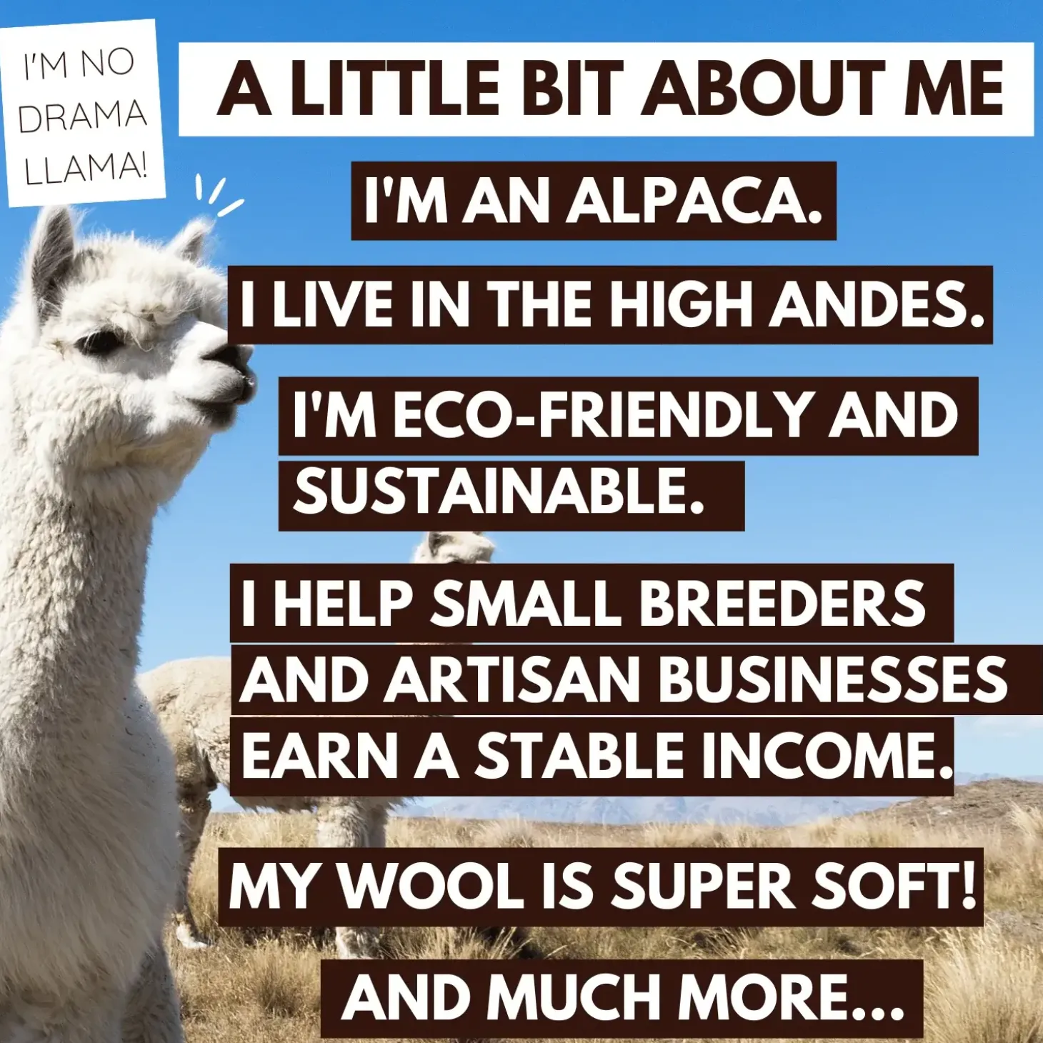 Maskotka Alpaka - Panda
